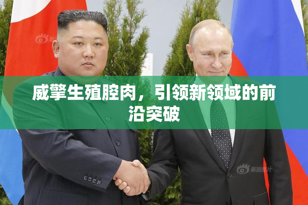 威擎生殖腔肉，引领新领域的前沿突破