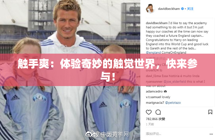 触手爽：体验奇妙的触觉世界，快来参与！
