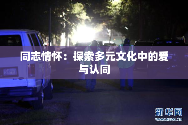 同志情怀：探索多元文化中的爱与认同