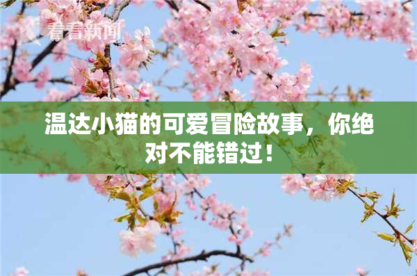 温达小猫的可爱冒险故事，你绝对不能错过！
