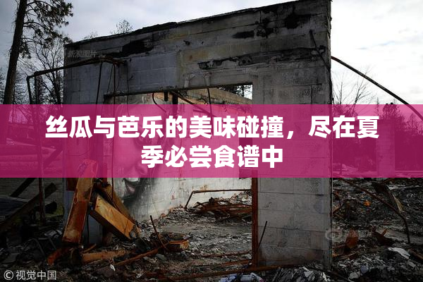 丝瓜与芭乐的美味碰撞，尽在夏季必尝食谱中
