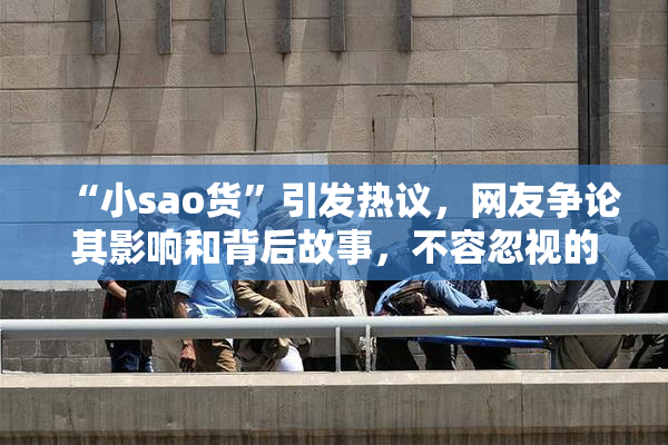 “小sao货”引发热议，网友争论其影响和背后故事，不容忽视的文化现象。