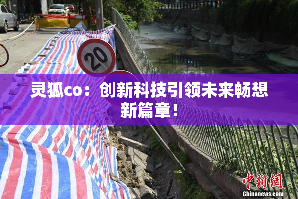 灵狐co：创新科技引领未来畅想新篇章！