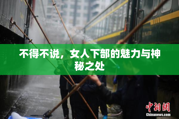 不得不说，女人下部的魅力与神秘之处