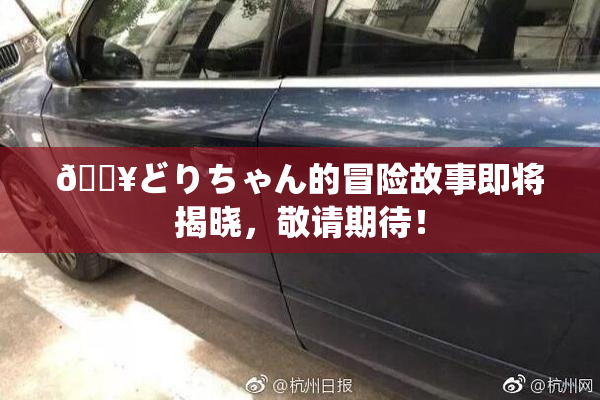 🔥どりちゃん的冒险故事即将揭晓，敬请期待！