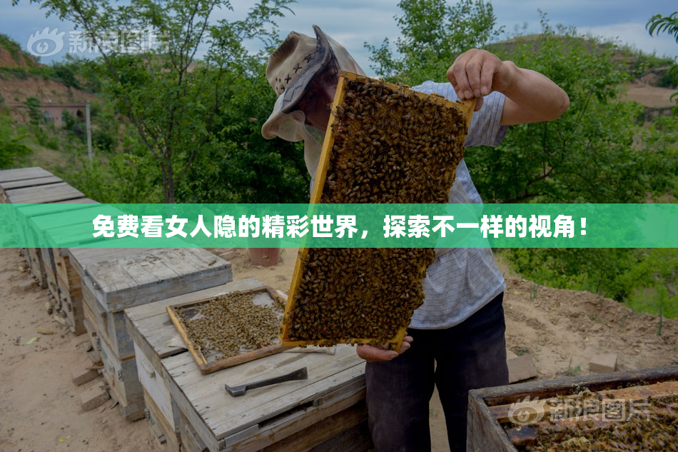 免费看女人隐的精彩世界，探索不一样的视角！