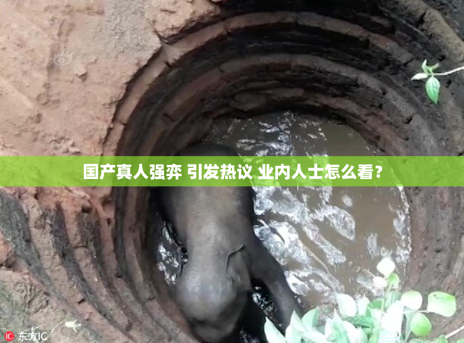 国产真人强弈 引发热议 业内人士怎么看？