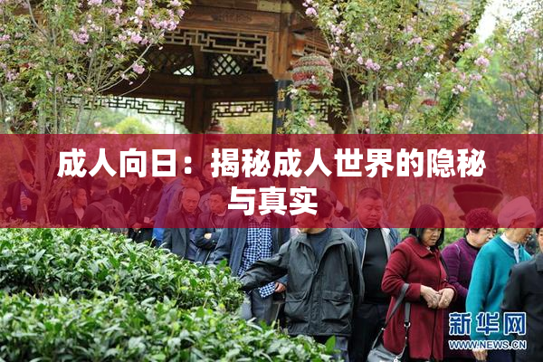 成人向日：揭秘成人世界的隐秘与真实