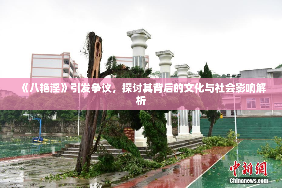 《八艳淫》引发争议，探讨其背后的文化与社会影响解析