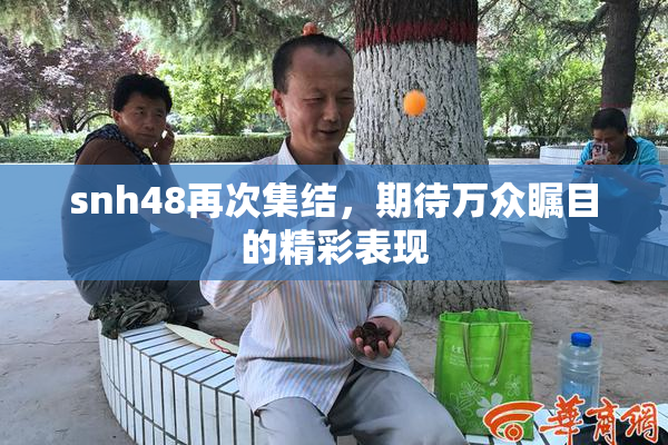 snh48再次集结，期待万众瞩目的精彩表现