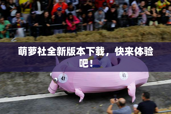 萌萝社全新版本下载，快来体验吧！