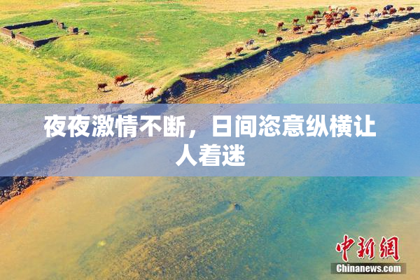 夜夜激情不断，日间恣意纵横让人着迷
