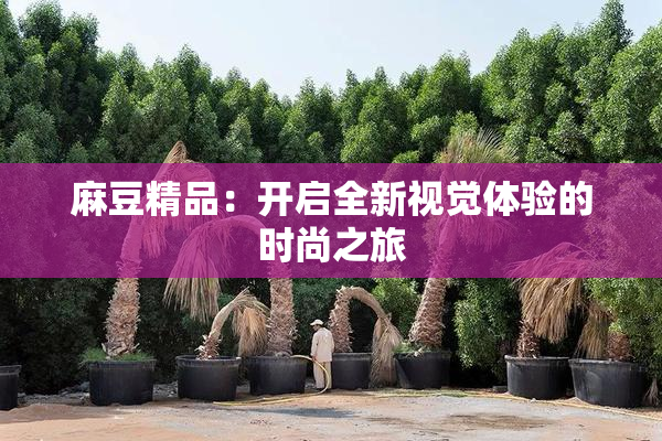 麻豆精品：开启全新视觉体验的时尚之旅