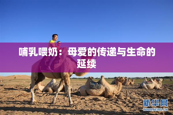 哺乳喂奶：母爱的传递与生命的延续