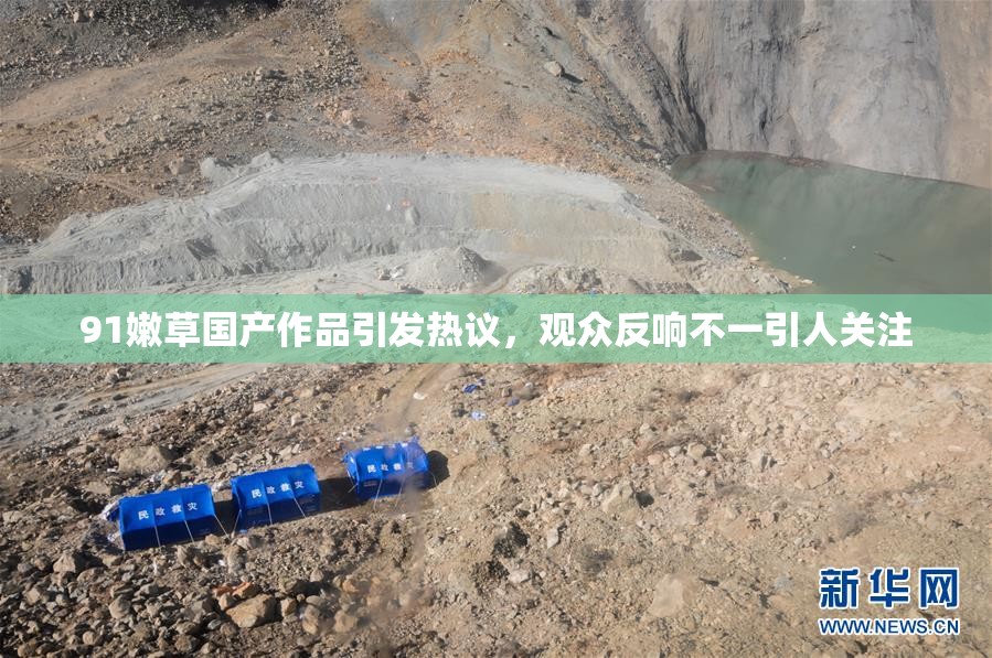 91嫩草国产作品引发热议，观众反响不一引人关注