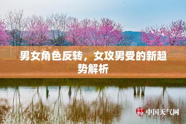 男女角色反转，女攻男受的新趋势解析