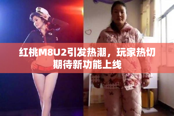 红桃M8U2引发热潮，玩家热切期待新功能上线