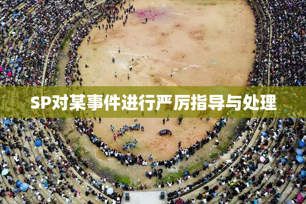 SP对某事件进行严厉指导与处理