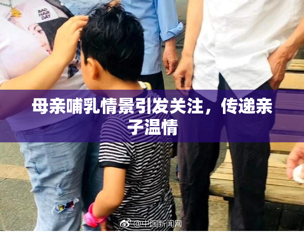 母亲哺乳情景引发关注，传递亲子温情