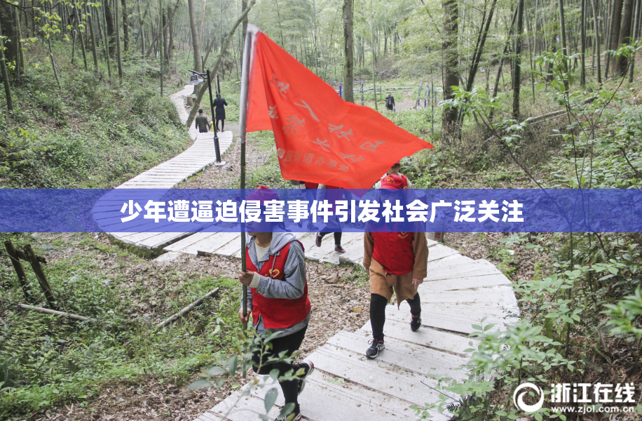 少年遭逼迫侵害事件引发社会广泛关注