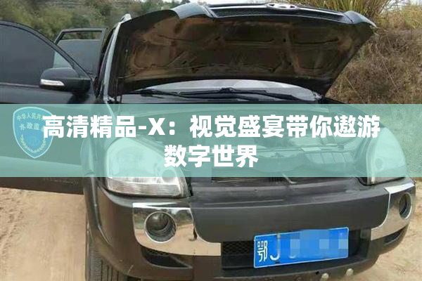 高清精品-X：视觉盛宴带你遨游数字世界