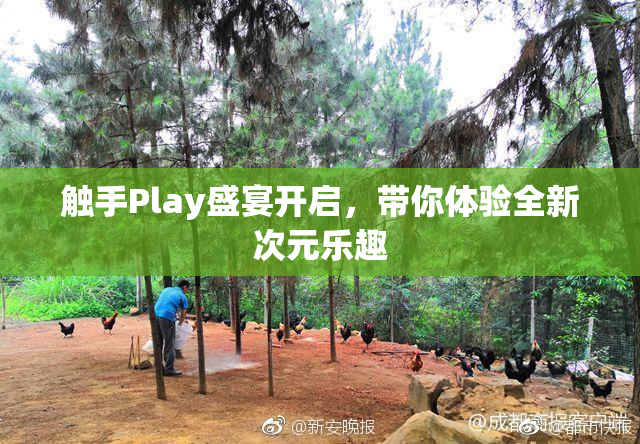 触手Play盛宴开启，带你体验全新次元乐趣