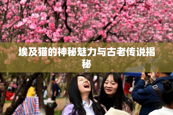 埃及猫的神秘魅力与古老传说揭秘