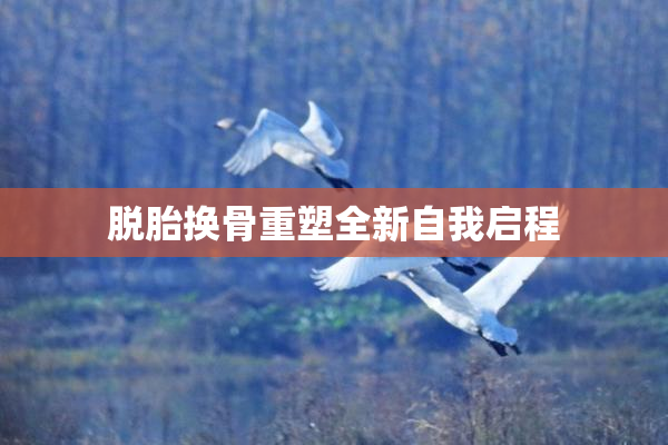 脱胎换骨重塑全新自我启程