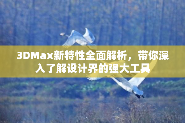 3DMax新特性全面解析，带你深入了解设计界的强大工具