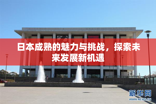 日本成熟的魅力与挑战，探索未来发展新机遇