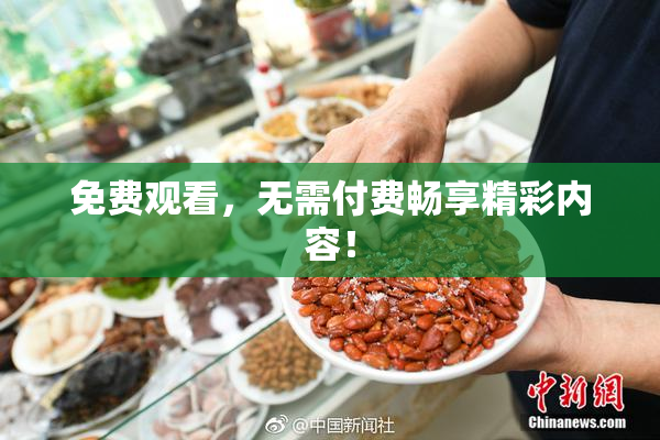 免费观看，无需付费畅享精彩内容！