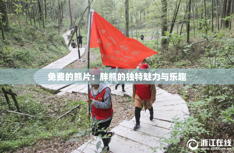 免费的熊片：胖熊的独特魅力与乐趣