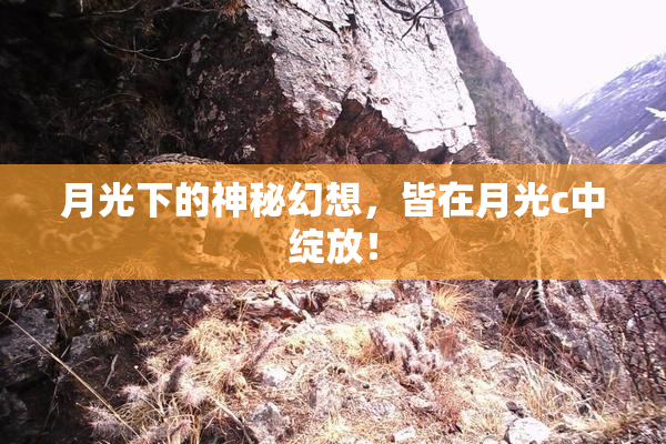 月光下的神秘幻想，皆在月光c中绽放！