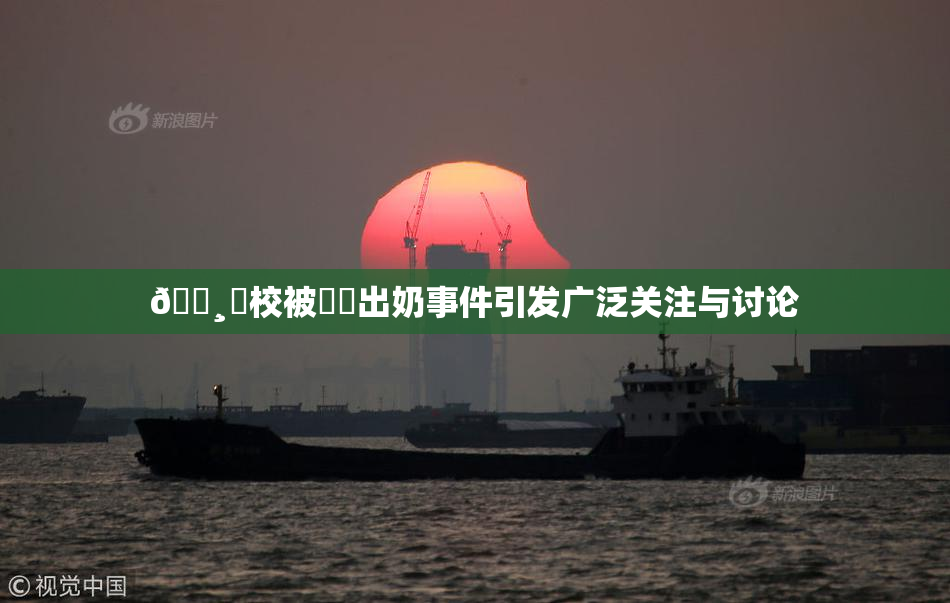 🌸‌校被❌‌出奶事件引发广泛关注与讨论