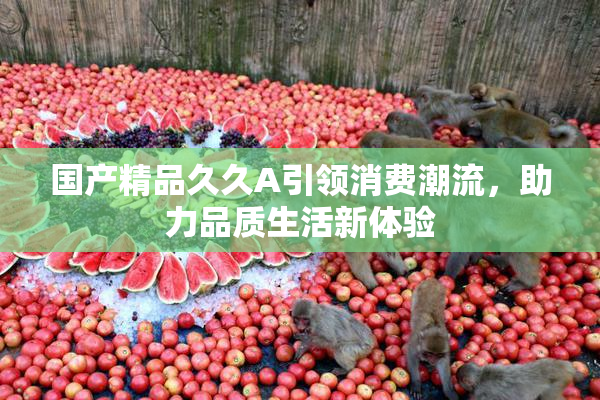 国产精品久久A引领消费潮流，助力品质生活新体验