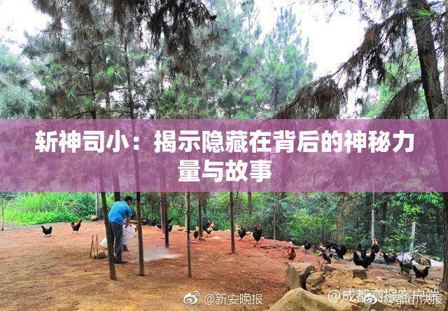 斩神司小：揭示隐藏在背后的神秘力量与故事