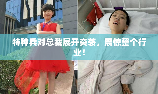 特种兵对总裁展开突袭，震惊整个行业！