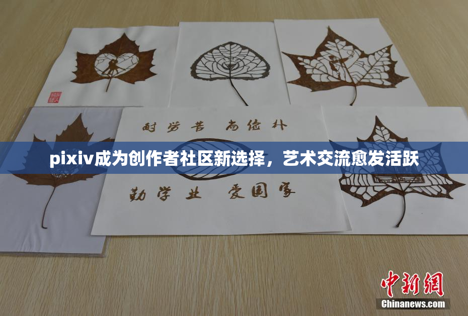pixiv成为创作者社区新选择，艺术交流愈发活跃