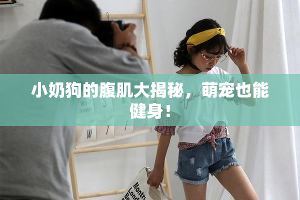 小奶狗的腹肌大揭秘，萌宠也能健身！