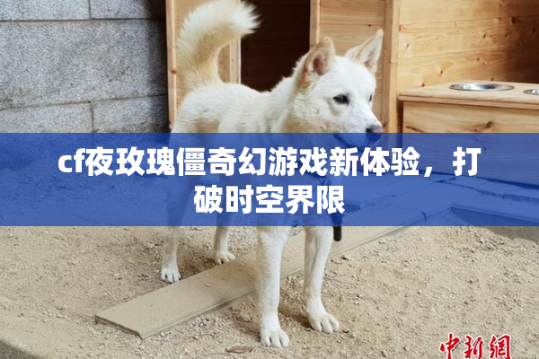 cf夜玫瑰僵奇幻游戏新体验，打破时空界限