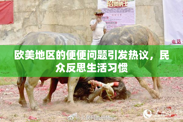 欧美地区的便便问题引发热议，民众反思生活习惯