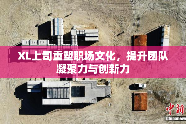 XL上司重塑职场文化，提升团队凝聚力与创新力