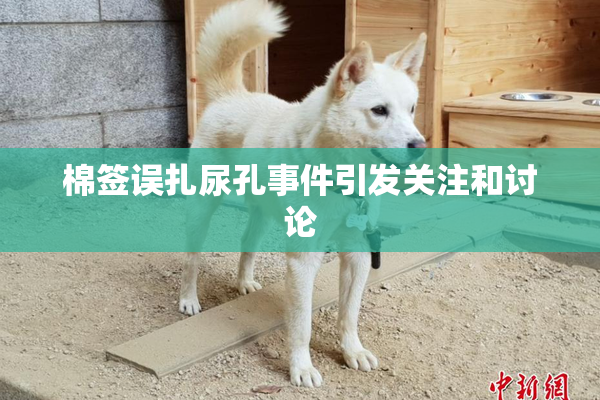 棉签误扎尿孔事件引发关注和讨论