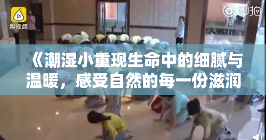 《潮湿小重现生命中的细腻与温暖，感受自然的每一份滋润》