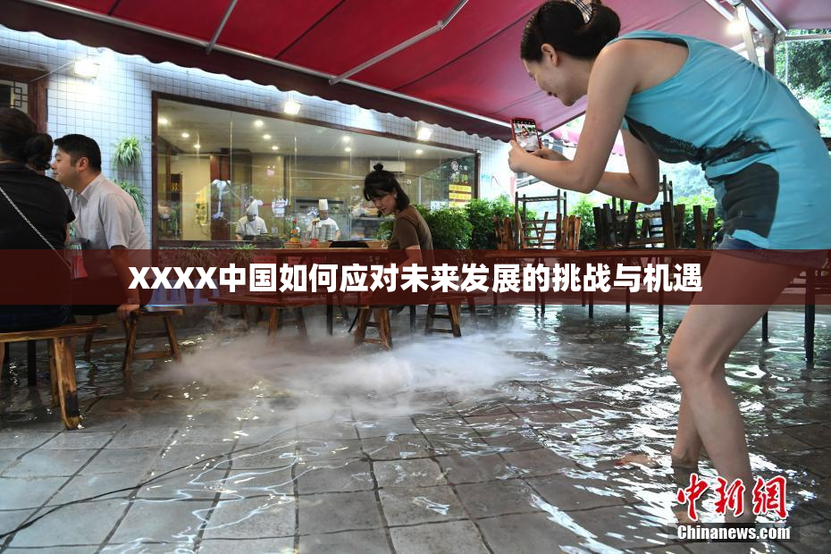 XXXX中国如何应对未来发展的挑战与机遇