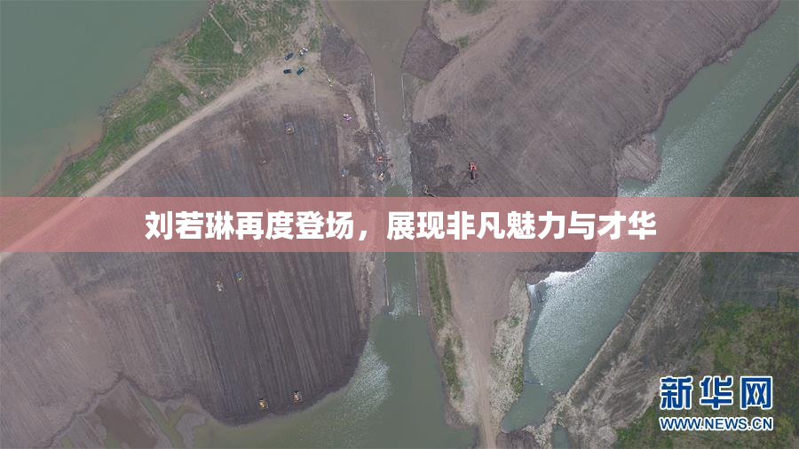 刘若琳再度登场，展现非凡魅力与才华