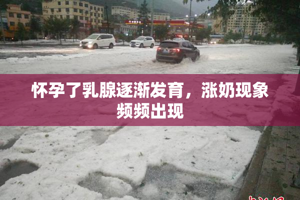怀孕了乳腺逐渐发育，涨奶现象频频出现