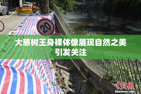 大慈树王身裸体像展现自然之美引发关注
