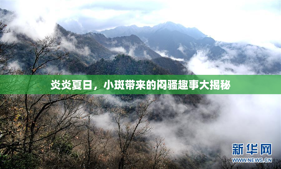 炎炎夏日，小斑带来的闷骚趣事大揭秘