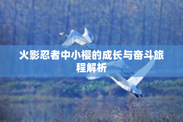 火影忍者中小樱的成长与奋斗旅程解析